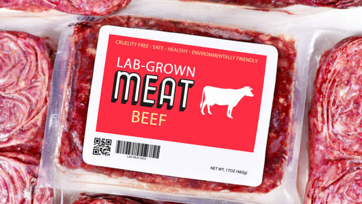 3d Printed Meat Is Here But Will You Switch Traditional Meat For