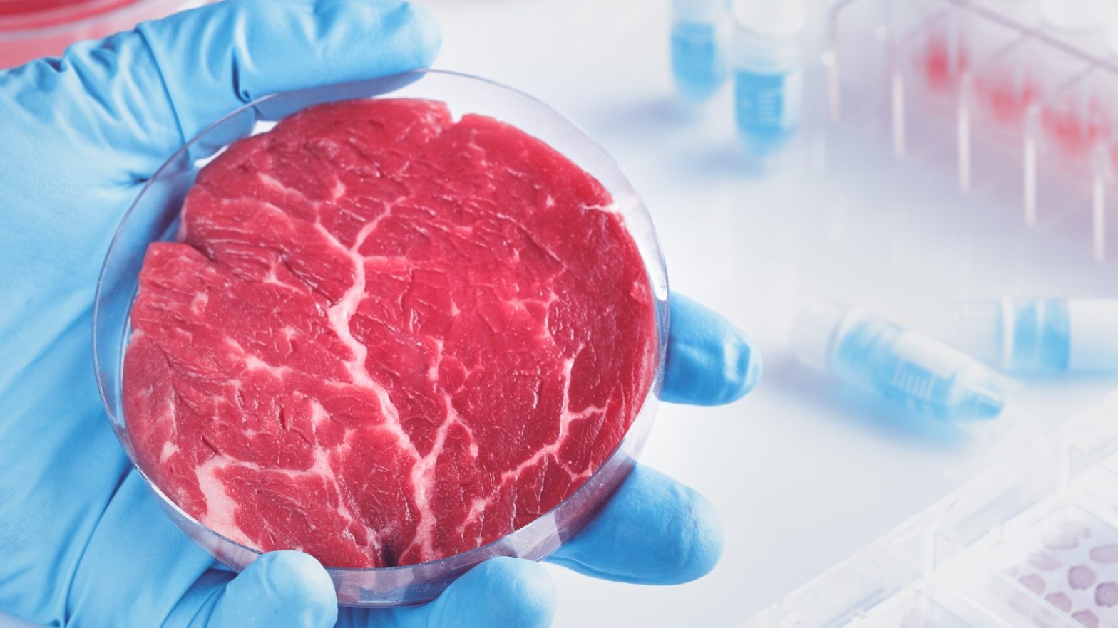 World’s First Cultured MeatProduction Facility Opens In Israel